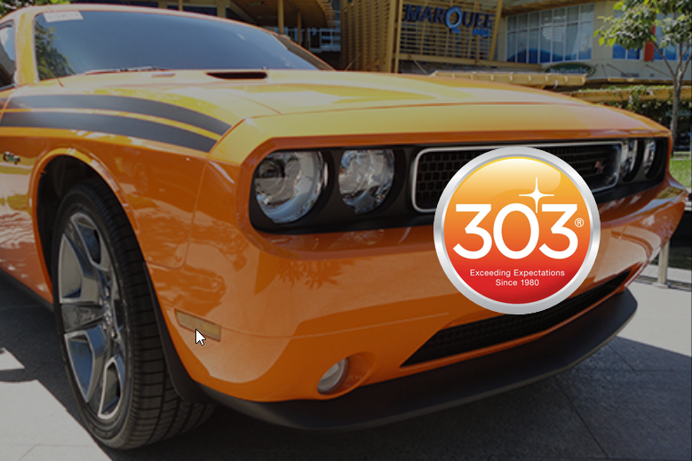 Prehliadaná autokozmetika 303