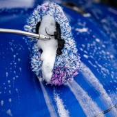 Návlek na umývaciu kefu CARMODO Waschbürstenüberzug SB-BOB