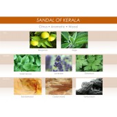 Azúrová vôňa do auta Mr&Mrs Fragrance Cesare Sandal Of Kerala