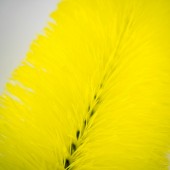 Kefa na kolesá Fictech Wheel Brush