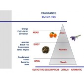 Béžová vône do auta Mr & Mrs Fragrance Black Tea