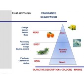 Čierna vôňa do auta Mr&Mrs Fragrance Cesare Cedar Wood