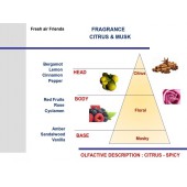 Ružová vôňa do auta Mr&Mrs Fragrance Cesare Citrus & Musk