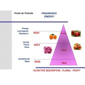 Oranžová vôňa do auta Mr&Mrs Fragrance Cesare Energy