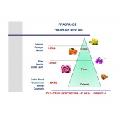 Biela vôňa do auta Mr&Mrs Fragrance Cesare Fresh Air