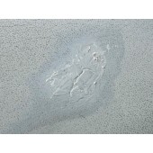 Korekčné ceruzka Colourlock GLD Stift 40 ml