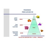 Bronzová vôňa do auta Mr&Mrs Fragrance Cesare Noble Oud Bronze