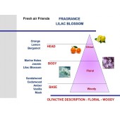 Fialová vôňa do auta Mr&Mrs Fragrance Cesare Lilac Blossom