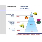 Svetlo modrá vôňa do auta Mr&Mrs Fragrance Cesare Ocean Breeze