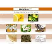 Hnedá vôňa do auta Mr&Mrs Fragrance Cesare Tranquillity