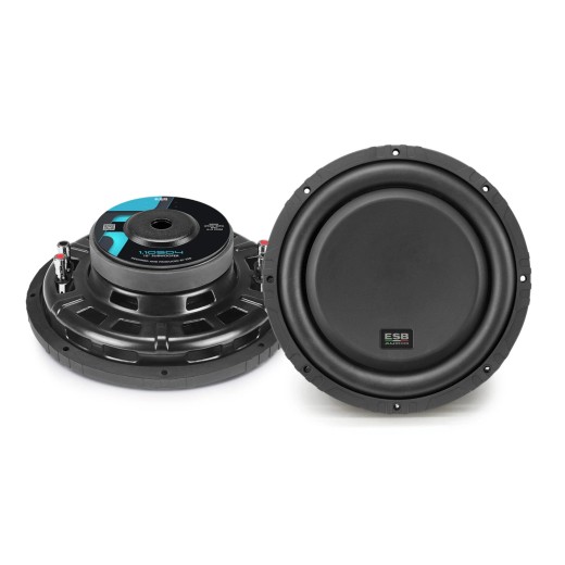 Subwoofer ESB Audio 1.10SD2