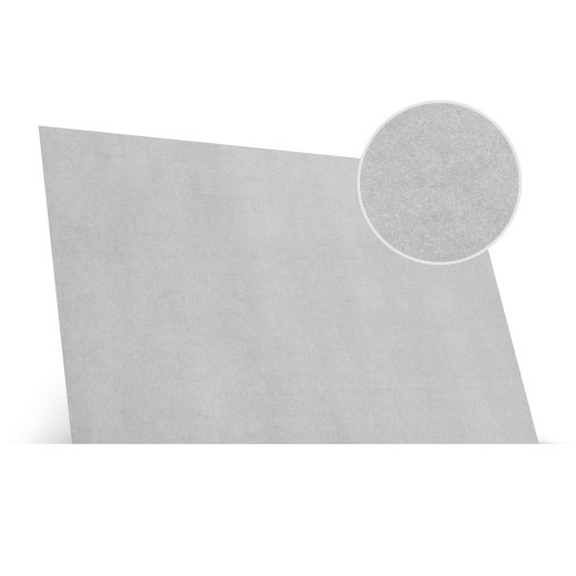 Svetlosivý poťahový koberec SGM Carpet Light Grey