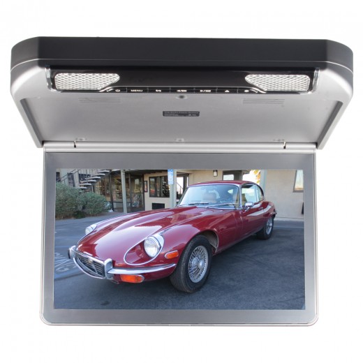 Stropný monitor 13,3