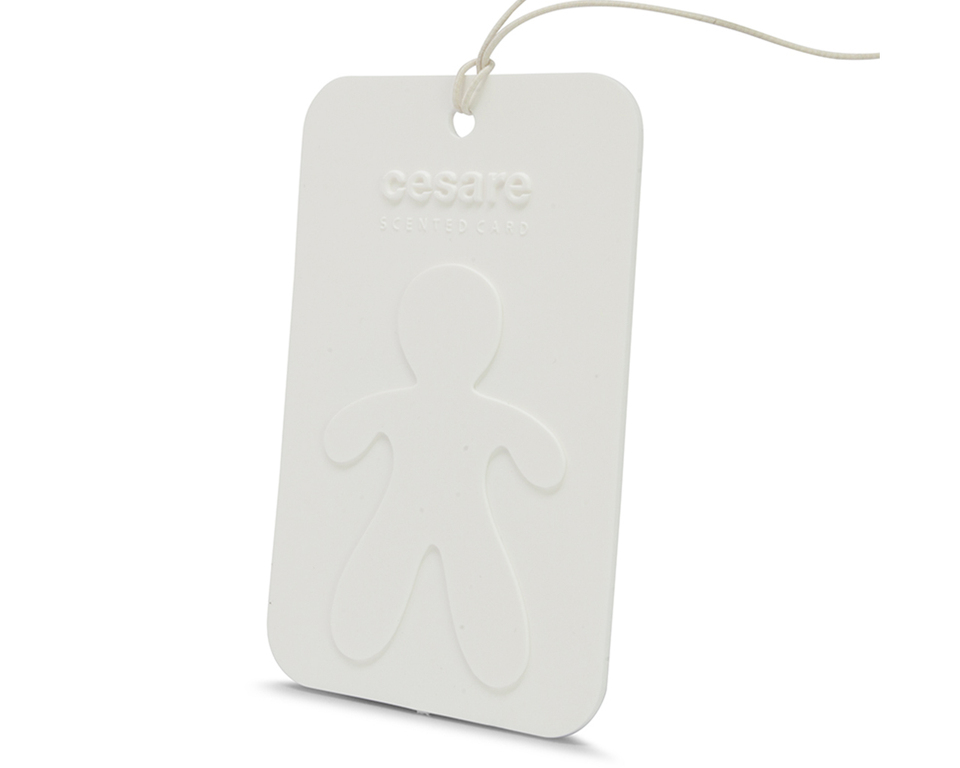 E-shop Mr&Mrs Fragrance Cesare Scented Card Odour Neutralizer New Car