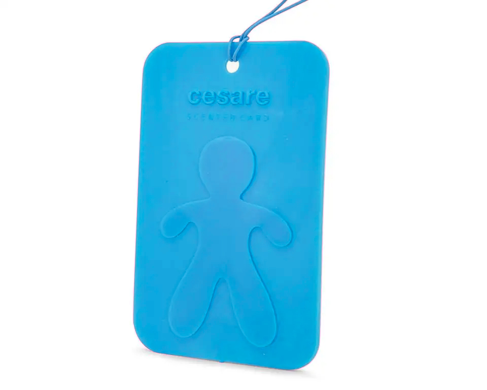 E-shop Vonná karta Mr&amp;Mrs Fragrance Cesare Scented Card New Car
