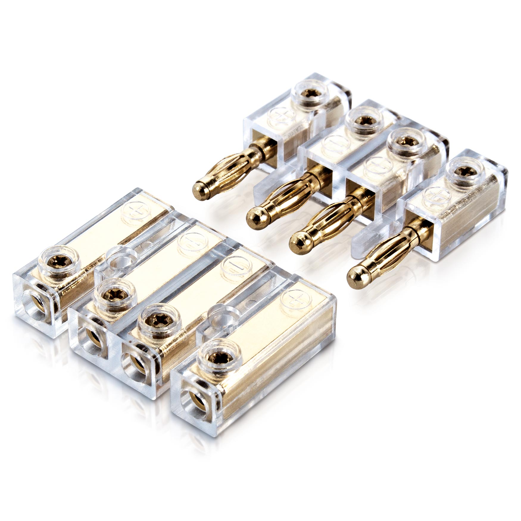 E-shop Sinus Live BC-4