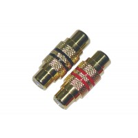 ACV cinch sspojka samica / samica