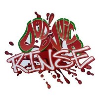 Dodo Juice Basics Of Bling Bucket Sticker - Rinse